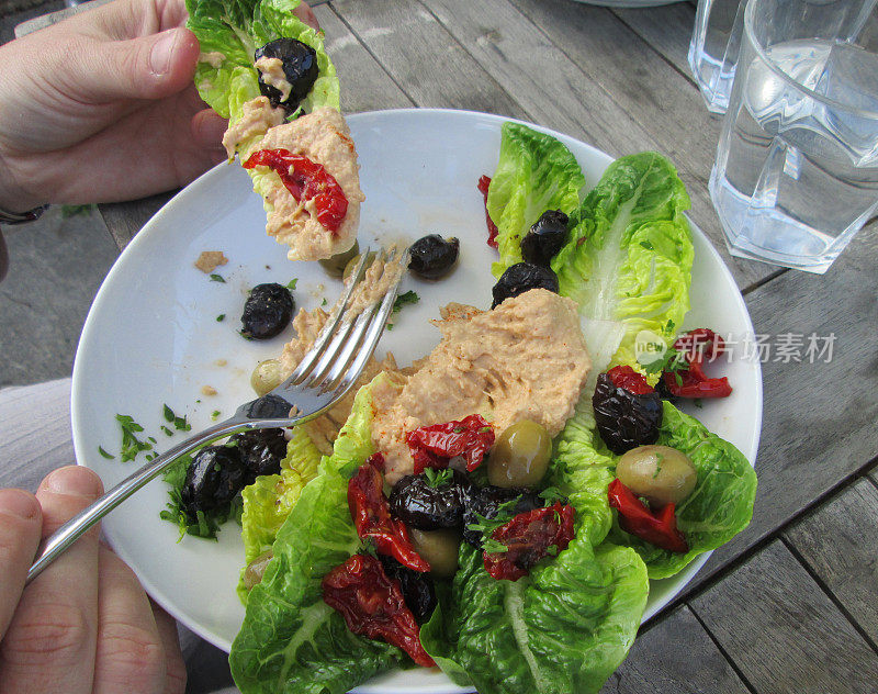 一盘带有鹰嘴豆泥/鹰嘴豆泥的希腊风味餐位